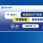 欧盟知识产权局(EUIPO)的申请数量创历史新高