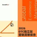 《2026全球独立站营销洞察报告》解读：流量在哪里，机会就在哪里