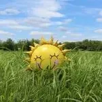 数据透视！亚马逊增量市场在哪里