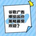 谷歌广告哪些出价策略最受欢迎?