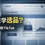 品牌独立站失败第一步：还在学选品