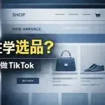 品牌独立站失败第一步:还在学选品