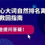 产品核心大词自然排名离奇消失？诊断与救回指南
