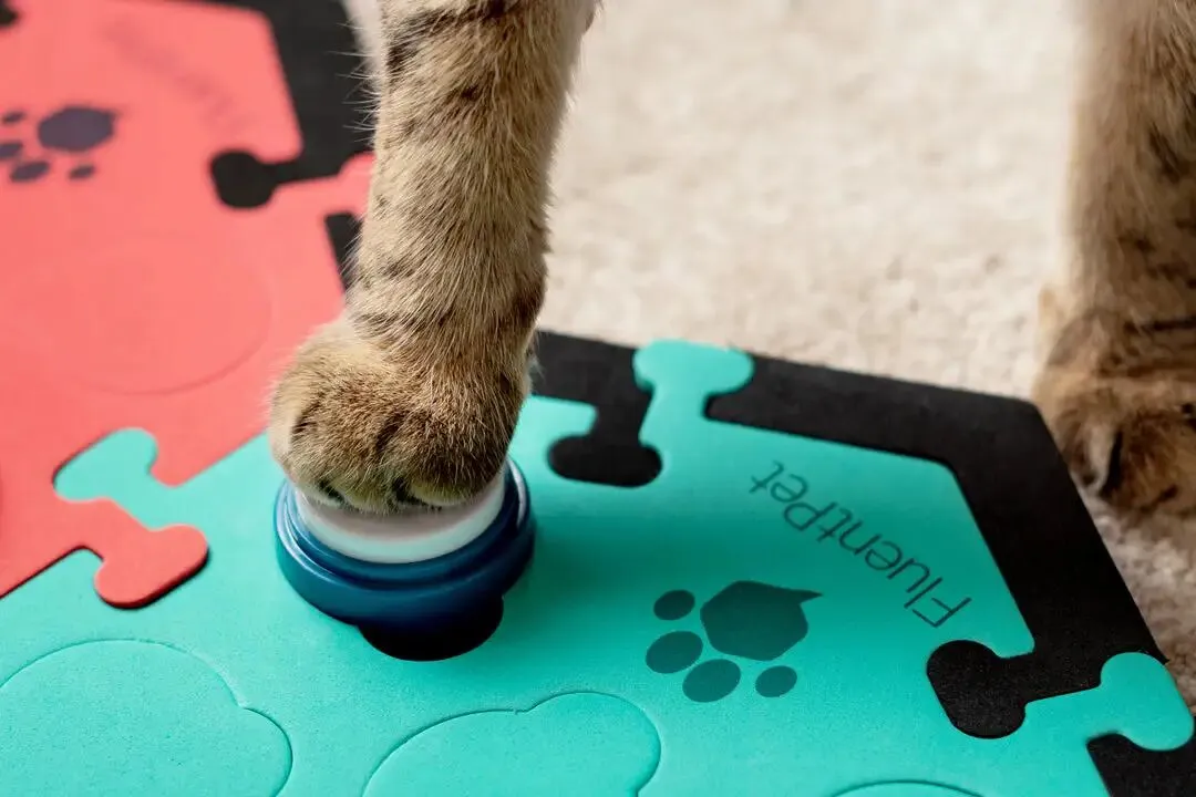 FluentPet Pet Communication Buttons FluentPet Speak Up Buttons 12 Pack -  Recordable Dog & Cat Buttons With Clear Sound Pet Buttons For Communication