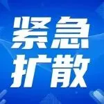 紧急扩散！9810申报禁用平台售价，违者严查