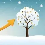 亚马逊链接 1 月上半月销量下滑原因分析