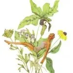 又一波 TRO 维权来袭！这些创意作品的图片绝对不能碰