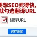 要想Google SEO死得快，就勾选翻译URL