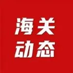 20多万件货物遭查扣！欧美海关又在赶KPI了