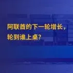 揭秘阿联酋2026“脱油”计划，中国企业如何分得最大蛋糕？