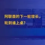 揭秘阿联酋2026“脱油”计划，中国企业如何分得最大蛋糕？