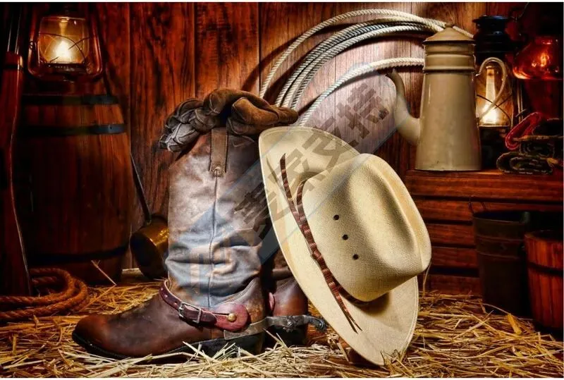 6-cv-00839,200个跨境卖家精准踩中西部牛仔靴帽维权坑"