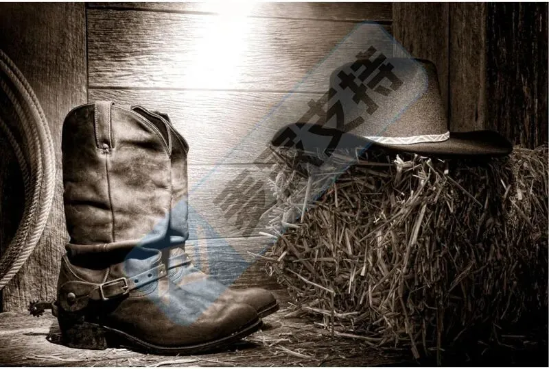 6-cv-00839,200个跨境卖家精准踩中西部牛仔靴帽维权坑"