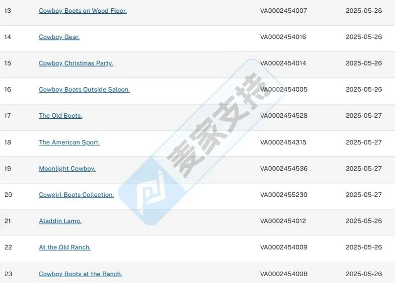 6-cv-00839，200个跨境卖家精准踩中西部牛仔靴帽维权坑"