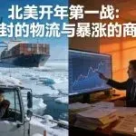 北美开年第一战:冰封的物流与暴涨的商机