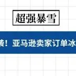 美国 40 年超强暴雪突袭！亚马逊卖家订单冰火两重天