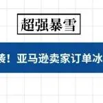 美国 40 年超强暴雪突袭!亚马逊卖家订单冰火两重天