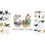 【侵权快讯】26-cv-836 Keith代理3张乡村风格公鸡版权起诉113家店铺！速排查下架！