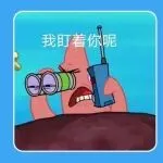 Temu暂停比价迎春节！意大利征税刚起，跨境包裹已改道破局！