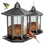 可拆卸+卡扣固定!#户外鸟食器 获美国发明专利,同类卖家避坑指南!