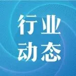 2025，跨境电商跑进下半场：告别低价，搏杀品牌