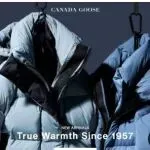 被告300多家店铺！年底了，这些雷区千万远离！