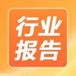 2026年服装出海怎么做？我们用真实数据，提前拆好了答案|服装行业报告
