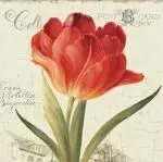 慎入！44 幅高颜值插画，竟是FERENCE律所的维权重点目标