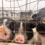 对卖家而言，亚马逊这一部门被“一刀切”瞬间蒸发不少利润！