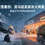 暴雪重创,亚马逊卖家冰火两重天