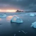 警报拉响！有棵树控股股东股份突遭全额冻结