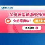 全球速卖通海外托管模式，火热招商中！附入驻全流程（即刻入驻享服务市场专属优惠价）