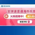 全球速卖通海外托管模式,火热招商中!附入驻全流程(即刻入驻享服务市场专属优惠价)