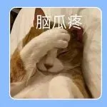 Temu、Shein暂停土耳其跨境业务，TikTok Shop泰国崛起，将强制启用双重验证！