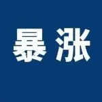 营收暴增300%！前泽宝创始人创业赚麻了