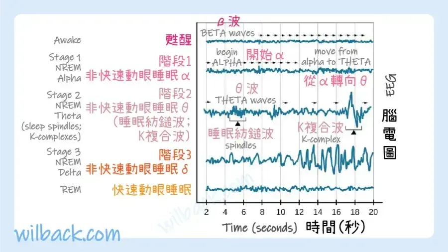 图片5 (1).png