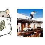 最新TRO侵权预警，家居服饰类卖家注意，选品必看！