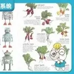 【26-cv-1250】马来画家Yee San Loh委托Keith律所起诉多家跨境电商主体侵权，涉烹饪材料食物、机器人类2D插画版权。