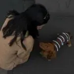 建议收藏！TikTok爆单新逻辑，一套可复制的“高溢价”选品公式