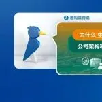 为什么中国电商卖家正在探索塞浦路斯的公司架构和代理董事制度，以拓展全球市场？