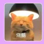 TikTok Shop美区上线图文带货！东南亚仓配新政3月落地！