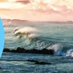 东鹏特饮A+H股双上市加速全球化、TikTokShop强化风控、X投票可加图丨出海一周