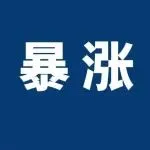 一年赚17个亿！上市大卖业绩翻倍