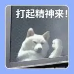 卖家陷评论清洗危机！德、英市场反成亚马逊2025增长新引擎？