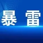 重要警示！偷逃税拒不整改？跨境公司被重罚402万！