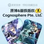 26-cv-00676，游戏版权跨境维权预警，跨境卖家选品需注意规避