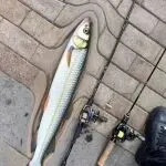 暴跌80%,40亿大卖关门求生