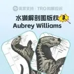 26-cv-01588,Aubrey Williams解剖图引爆65店侵权危机，TRO冻结在即！