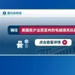 销往美国宾夕法尼亚州的毛绒填充玩具合规解读