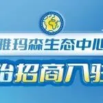 雅玛森生态中心，开始招商入驻啦！